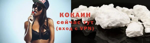 дживик Сатка