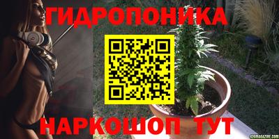 ГАЛЛЮЦИНОГЕННЫЕ ГРИБЫ Заводоуковск