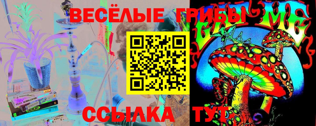 Псилоцибиновые грибы прущие грибы Урюпинск