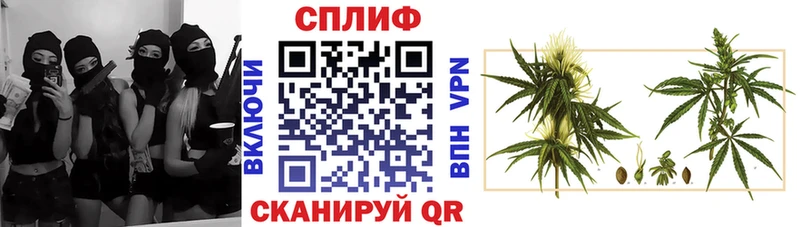 Канабис сатива  Урюпинск 
